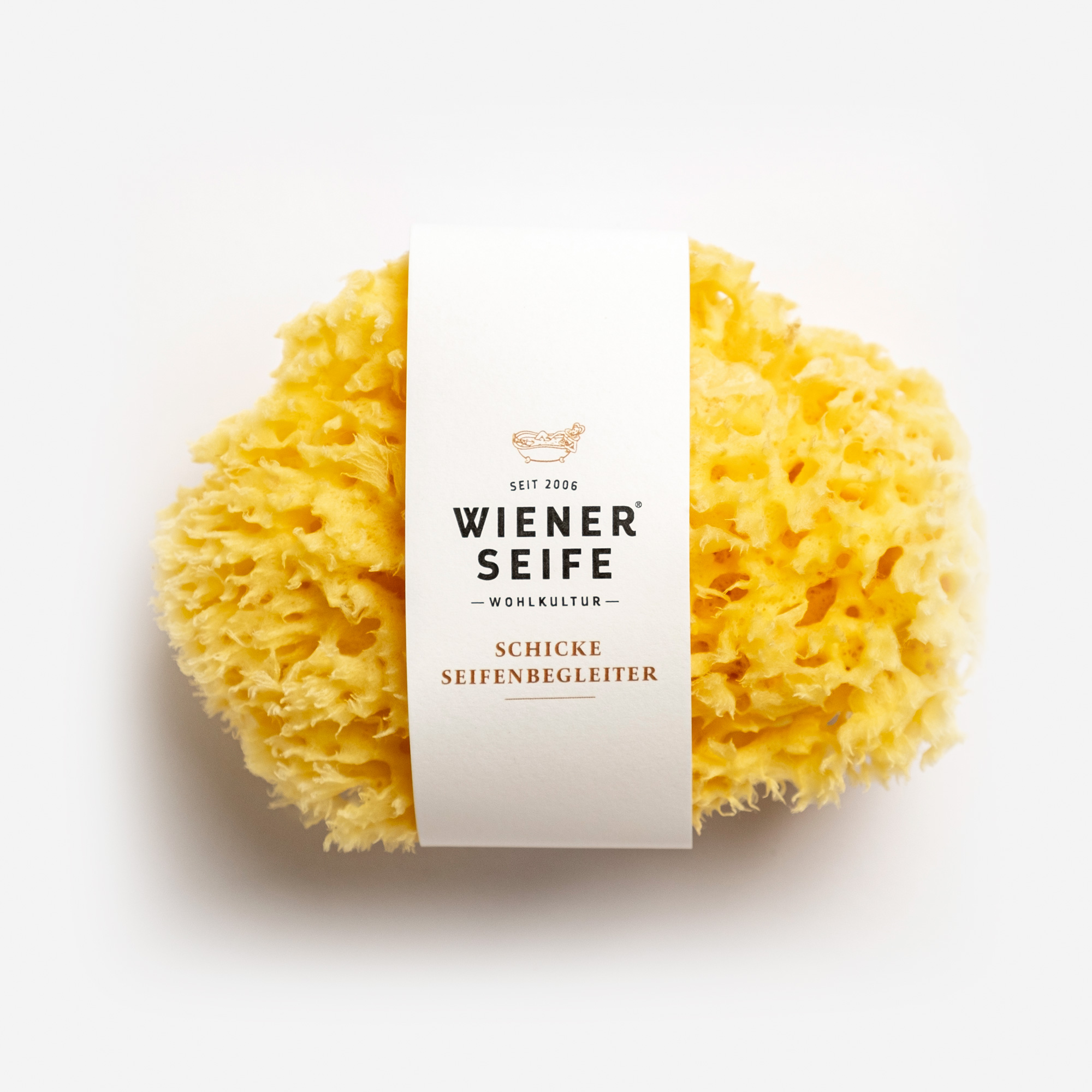 Body Sponge Body Sponge